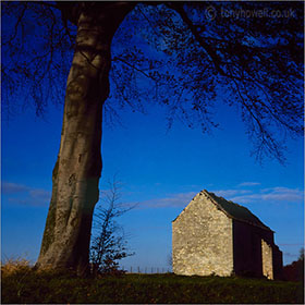 Barn, Tree, Gloucestershire