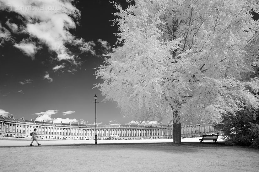 Royal Crescent (Infrared Camera, turns foliage white)
