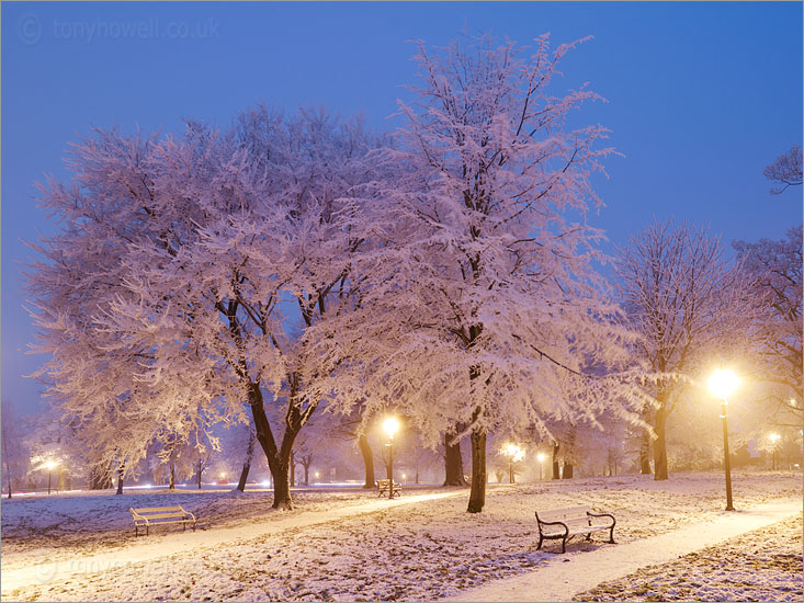 Bench, Trees, Snow, Clifton Down