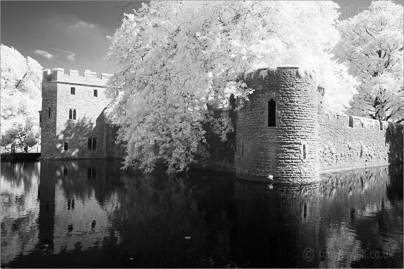 Bishops Palace (Infrared Camera, turns foliage white)