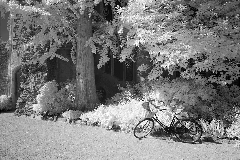 Bicycle, Bishops Palace (Infrared Camera, turns foliage white)