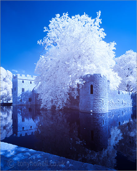 Bishops Palace, Moat (Infrared Camera, turns foliage white)