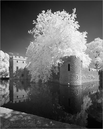 Bishops Palace, Moat (Infrared Camera, turns foliage white)