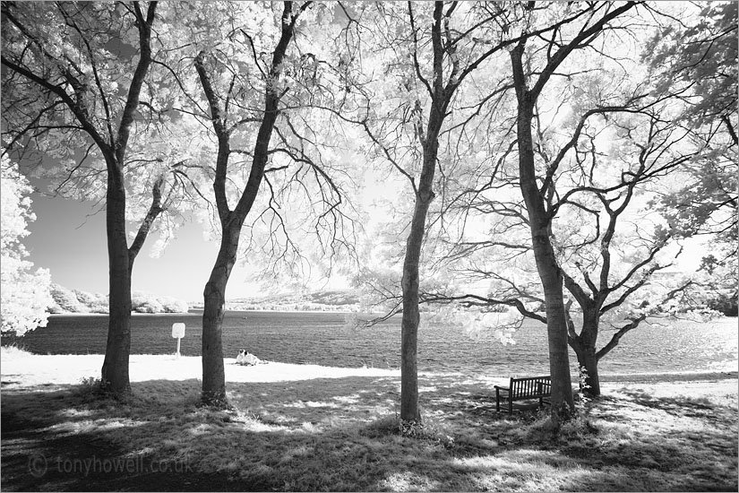 Blagdon Lake (Infrared Camera, turns foliage white)