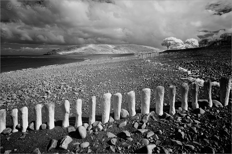 Bossington Beach (Infrared Camera, turns foliage white)