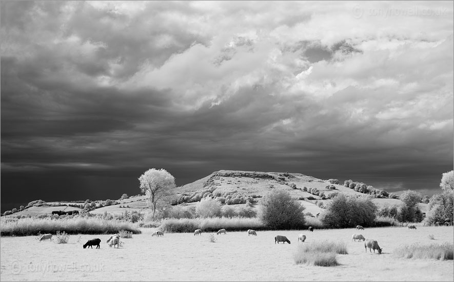 Brent Knoll (Infrared Camera, turns foliage white)
