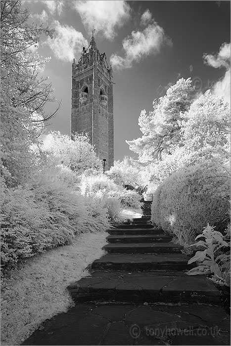 Cabot Tower (Infrared Camera, turns foliage white)