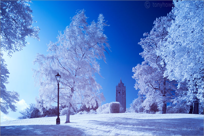 Cabot Tower (Infrared Camera, turns foliage white)
