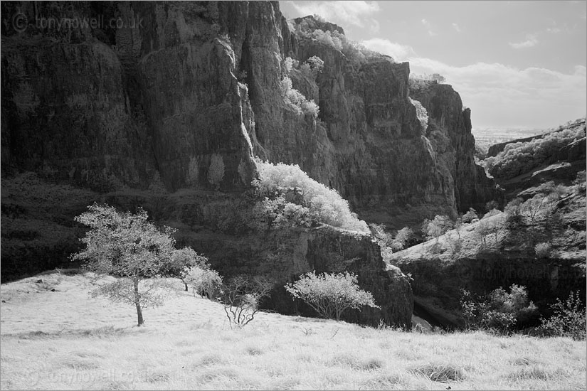 Cheddar Gorge (Infrared Camera, turns foliage white)