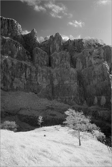 Cheddar Gorge (Infrared Camera, turns foliage white)