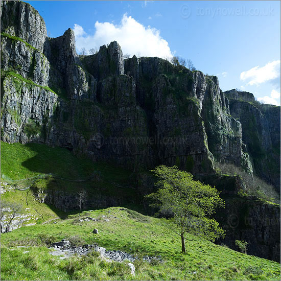 Cheddar Gorge