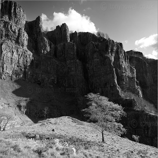 Cheddar Gorge