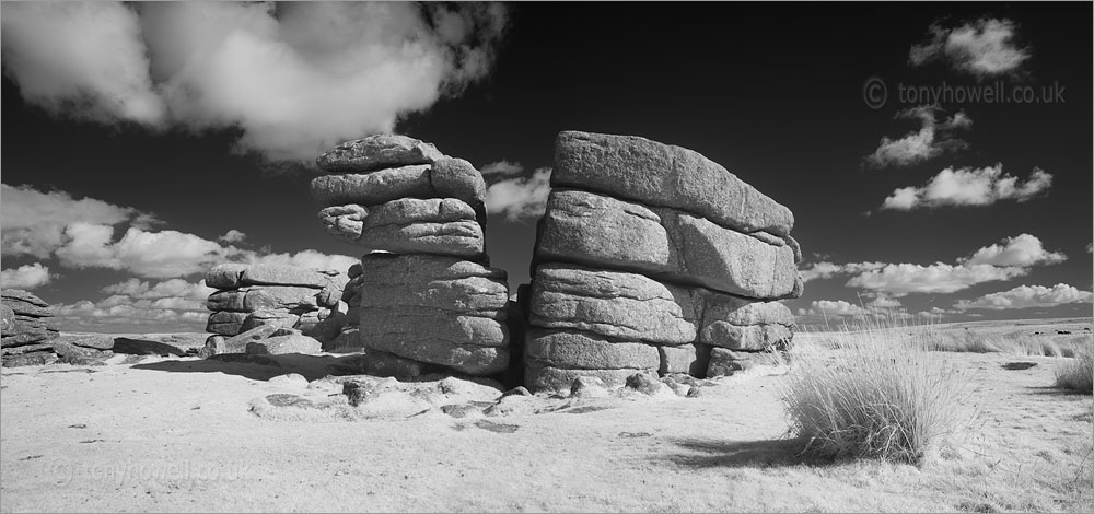 Combestone Tor (Infrared Camera, turns foliage white)