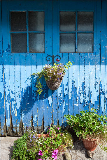 Door, Flowers, Mousehole