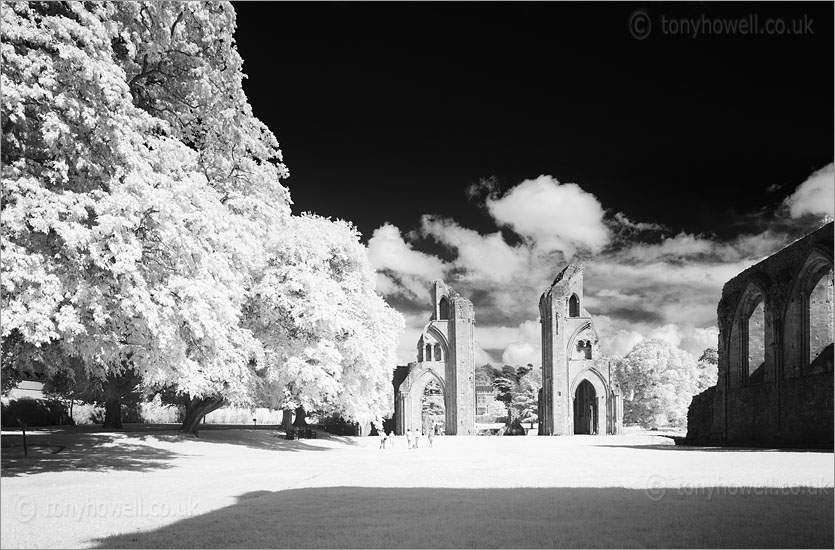 Glastonbury Abbey (Infrared Camera, turns foliage white)