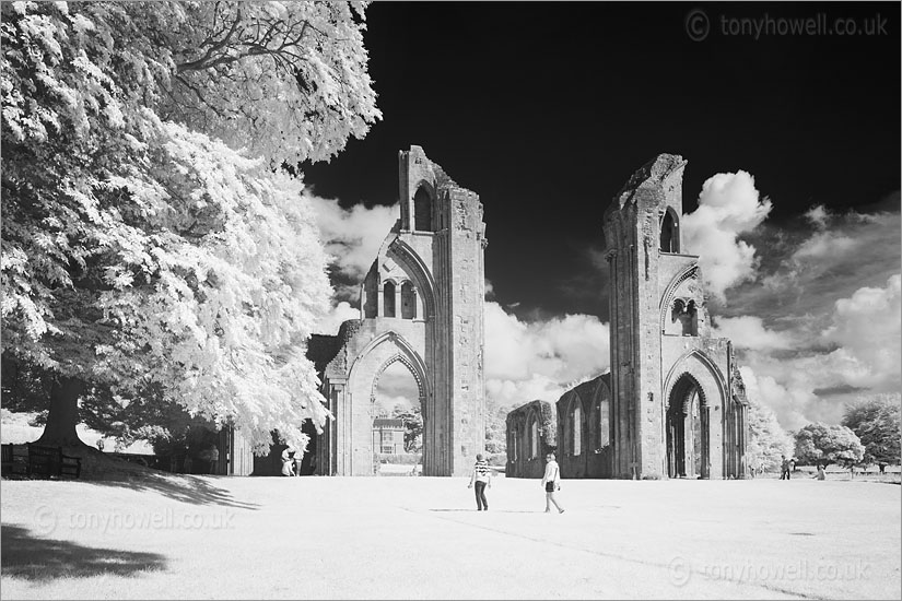 Glastonbury Abbey (Infrared Camera, turns foliage white)