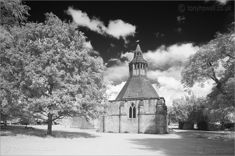 Glastonbury Abbey (Infrared Camera, turns foliage white)