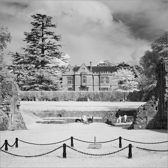 Glastonbury Abbey (Infrared Camera, turns foliage white)