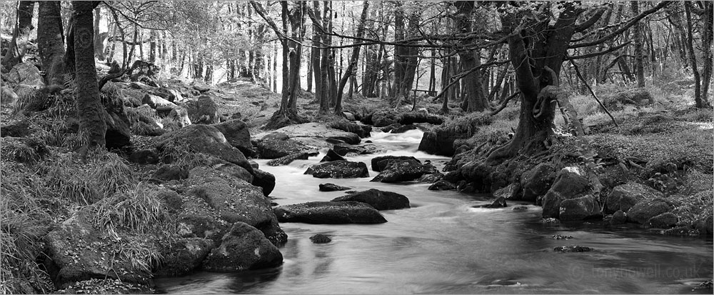 Golitha Falls, Bodmin Moor