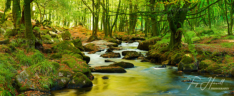 Golitha Falls, Bodmin Moor, Cornwall