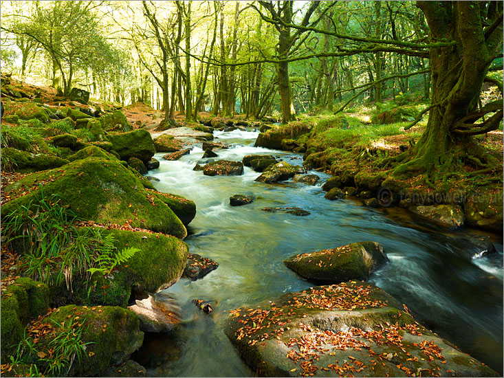 Golitha Falls, Bodmin Moor