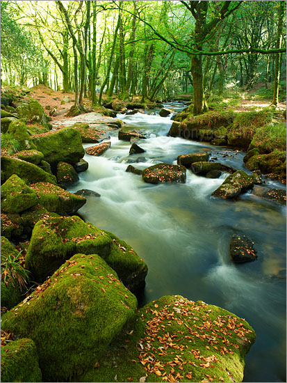 Golitha Falls, Bodmin Moor