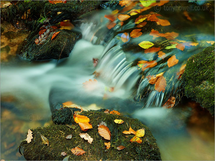 Golitha Falls, Bodmin Moor