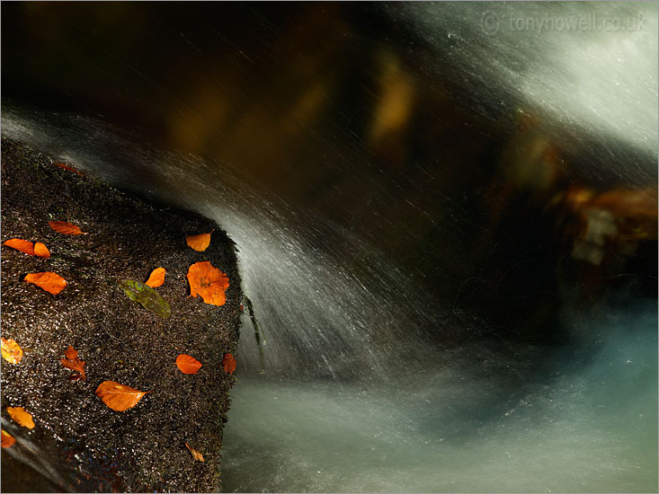 Golitha Falls, Bodmin Moor