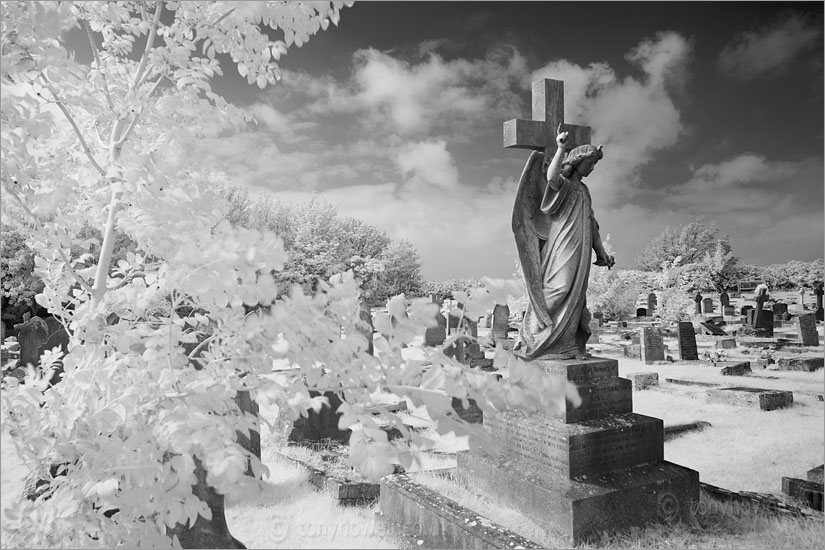 Graveyard Angel Sculpture (Infrared Camera, turns foliage white)