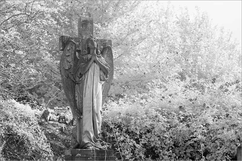 Graveyard Angel Sculpture (Infrared Camera, turns foliage white)