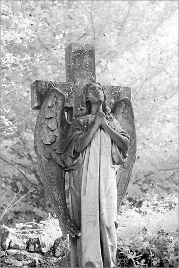 Graveyard Angel Sculpture (Infrared Camera, turns foliage white)