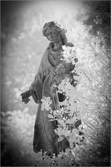 Graveyard Angel Sculpture (Infrared Camera, turns foliage white)