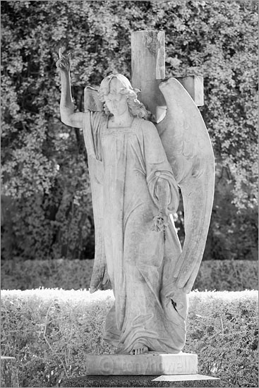 Graveyard Angel Sculpture (Infrared Camera, turns foliage white)