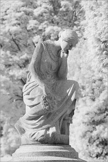 Graveyard Angel Sculpture (Infrared Camera, turns foliage white)