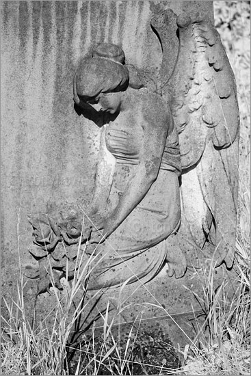 Graveyard Angel Sculpture (Infrared Camera, turns foliage white)