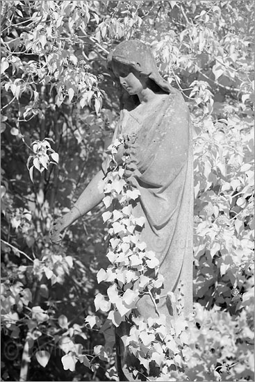 Graveyard Angel Sculpture (Infrared Camera, turns foliage white)