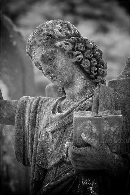 Graveyard Angel Sculpture (Infrared Camera, turns foliage white)