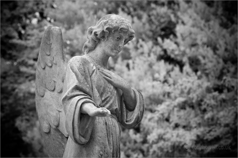 Graveyard Angel Sculpture (Infrared Camera, turns foliage white)