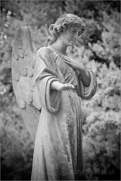 Graveyard Angel Sculpture (Infrared Camera, turns foliage white)