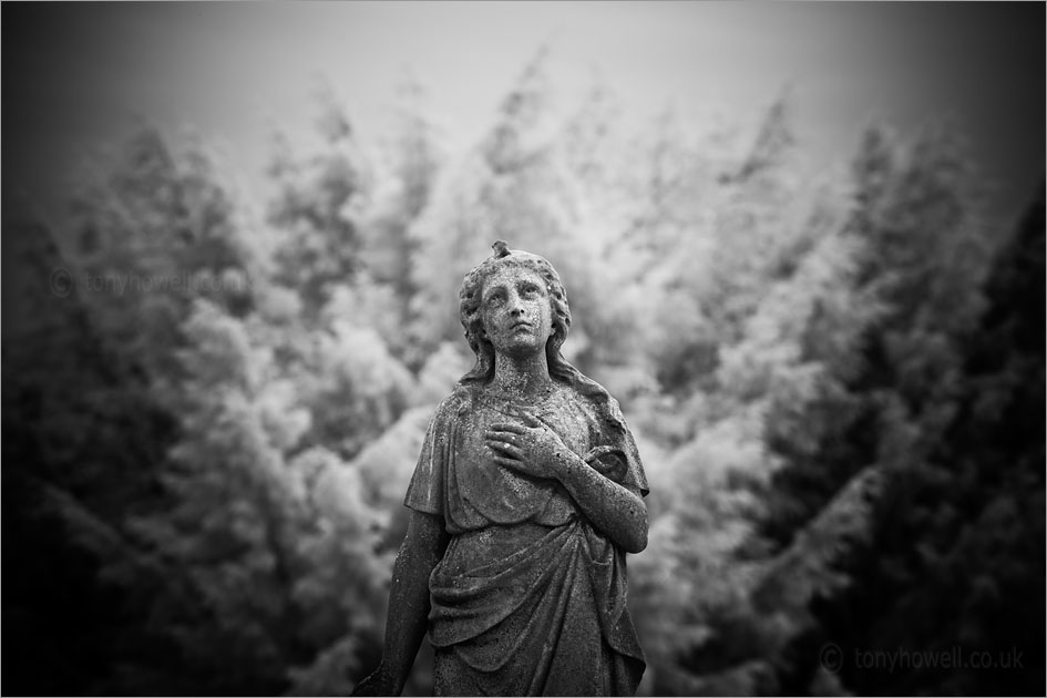 Graveyard Angel Sculpture (Infrared Camera, turns foliage white)