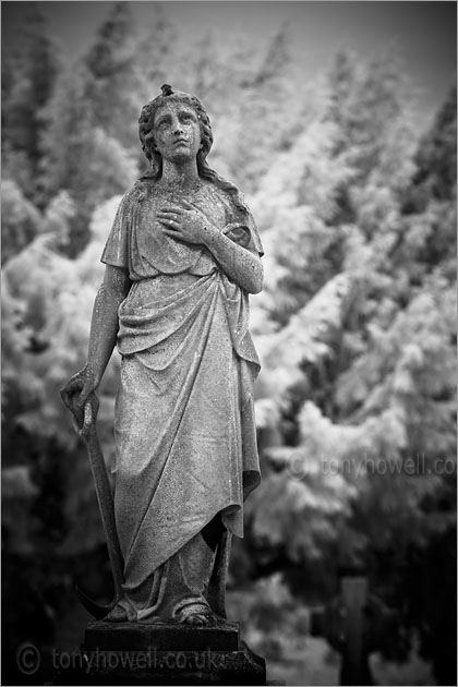 Graveyard Angel Sculpture (Infrared Camera, turns foliage white)