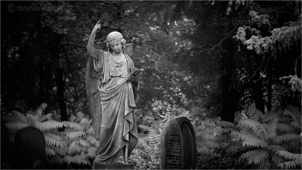 Graveyard Angel Sculpture (Infrared Camera, turns foliage white)