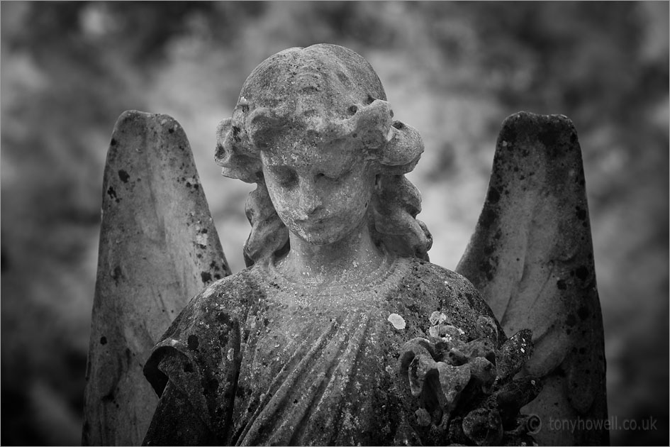 Graveyard Angel Sculpture (Infrared Camera, turns foliage white)