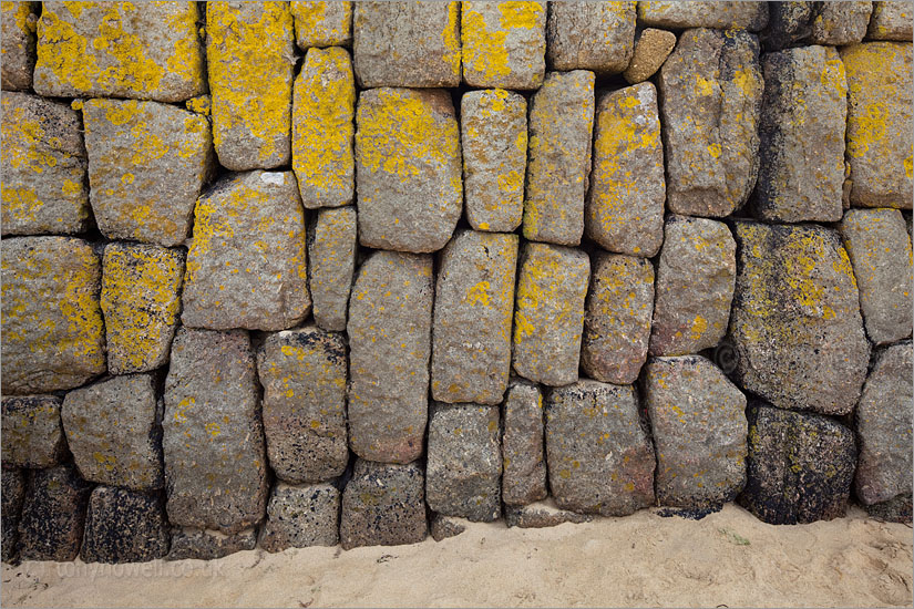 Harbour Wall, Mousehole