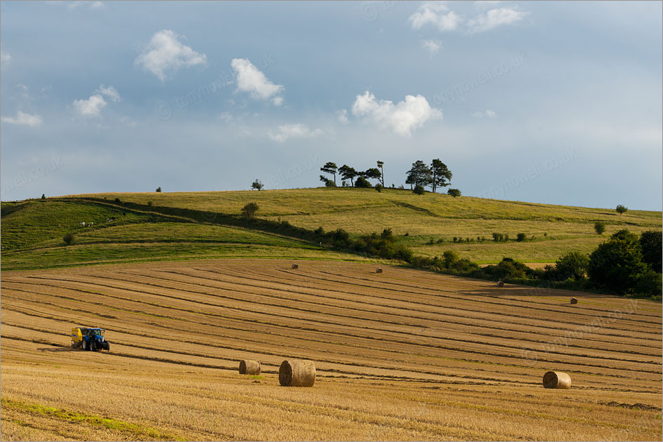 Hay Bales, Cherhill