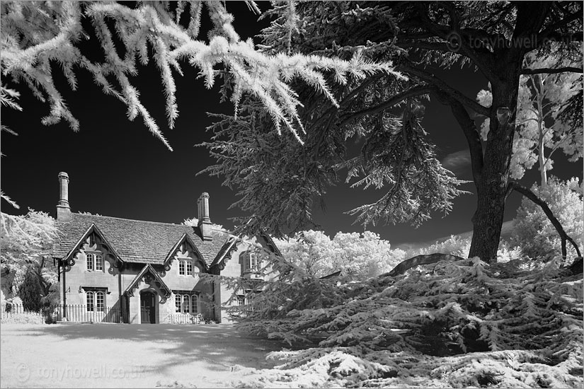 House, Victoria Park (Infrared Camera, turns foliage white)