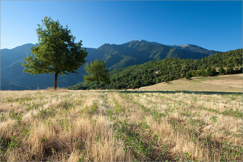 Mount Canigou