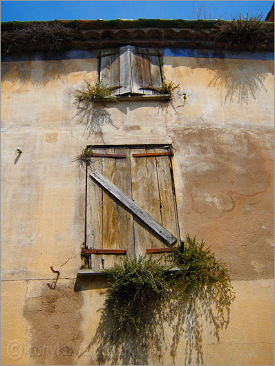 Old House, Elne