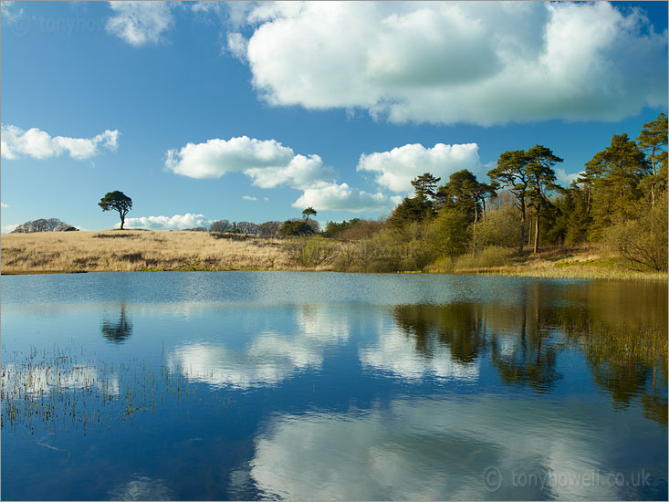 Priddy Ponds