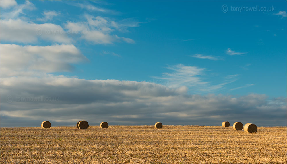 Hay Bales nr. North Curry